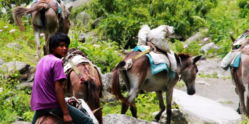 Upper Dolpo: The Best Trekking Destination